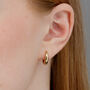 Foundation Classic Hoop Earrings, thumbnail 2 of 6
