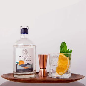 Pangolin Gin, Small Batch Hand Crafted Gin, 3 of 9