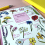Wildflowers Spotting Journal Notepad, thumbnail 4 of 11