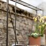 Large Plant Steel Stand, thumbnail 2 of 6