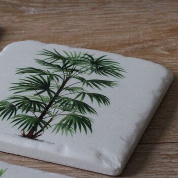 Set Of Four Fern Coasters, 2 of 6