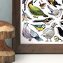 Garden Birds Of Britain Wildlife Watercolour Print, thumbnail 2 of 8