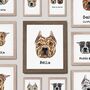 Personalised American Pitbull Dog Portrait Print, thumbnail 1 of 8