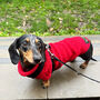 Red Miniature Dachshund Knitted Jumper, thumbnail 3 of 7