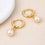 Gold Plated Sterling Silver Freshwater Pearl Huggie Hoop Earrings – 7mm Pearls, thumbnail 2 of 6