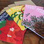 Illustrated Christmas Cards Mistletoe Poinsettia Pine, thumbnail 1 of 7