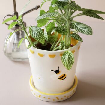 Small Bee Ceramic Planter And Tray, 6 of 8