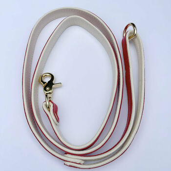 Handmade Italian Leather Dog Puppy Lead In Red, 6 of 6