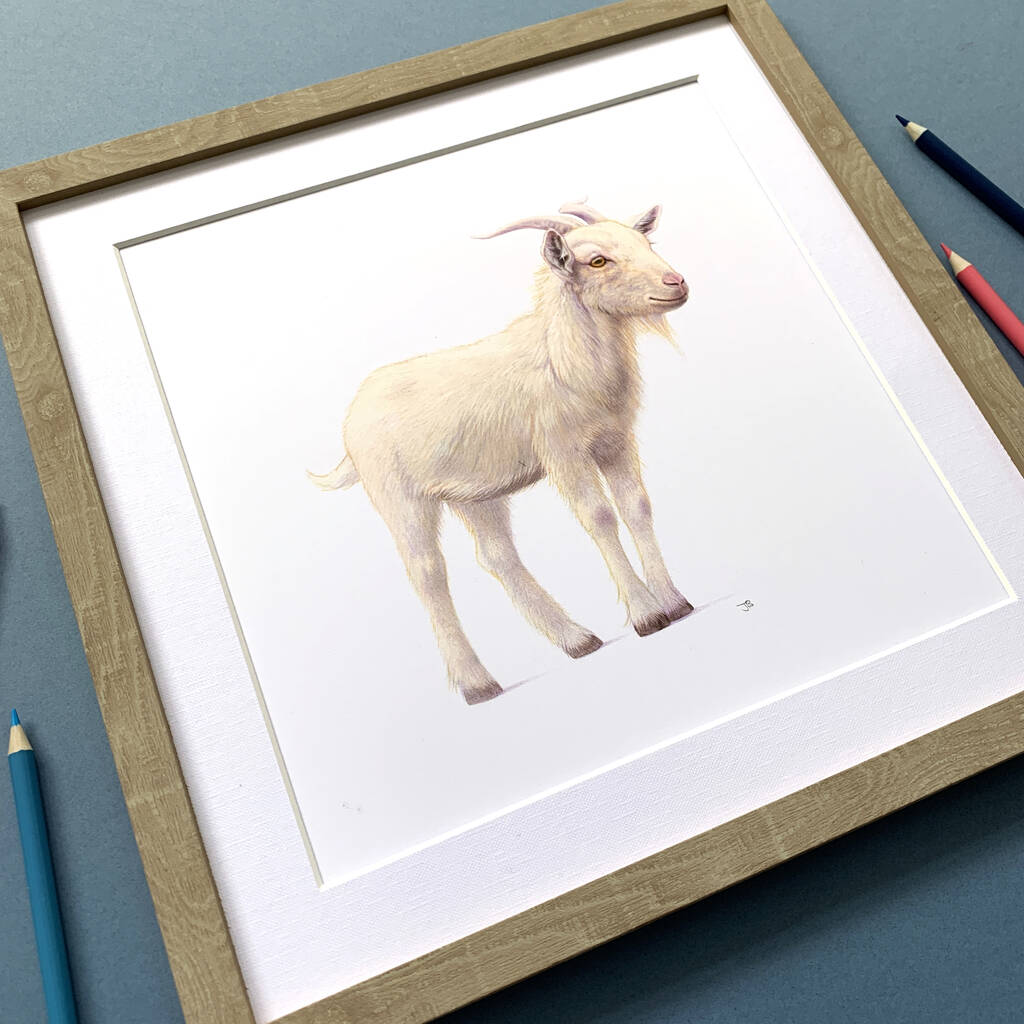 Illustrated Goat Print By Little Blue Zebra