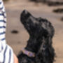 All Weather Biothane Dog Collar, thumbnail 6 of 7