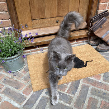 Cat Lovers Silhouette Indoor And Outdoor Coir Doormat, 5 of 5