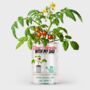 Personalised Grow Your Own Tomato Kit For Dad, thumbnail 1 of 7