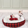 Indulgent Dog Bed And Blanket, thumbnail 1 of 3