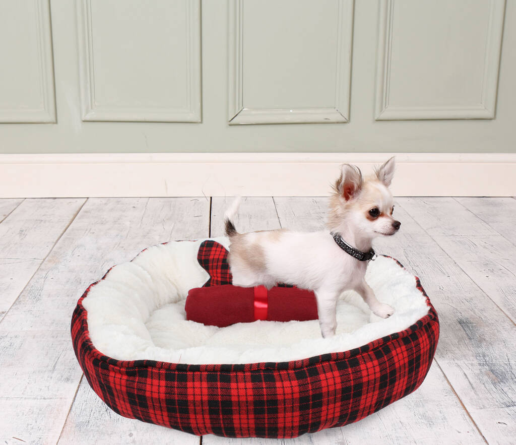 Indulgent Dog Bed And Blanket, 1 of 3
