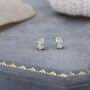 Moissanite Diamond Stud Earrings In Sterling Silver, thumbnail 4 of 9
