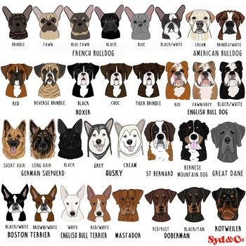 Personalised Farm Fresh Pupkins Pet Lover Sweatshirt, 4 of 11