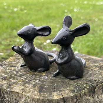 Set Of Two Solid Cast Iron Mice In Gift Pouch, 2 of 7