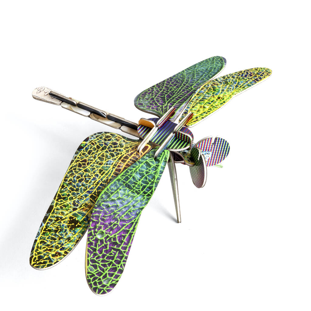 Large Dragonfly Room Decoration By Penelopetom