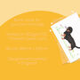 Darcy The Dachshund Illustrated Blank Greeting Card, thumbnail 7 of 10
