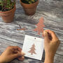 Plant A Christmas Tree Seed Paper Card, thumbnail 2 of 9