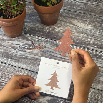 Plant A Christmas Tree Seed Paper Card, 2 of 9