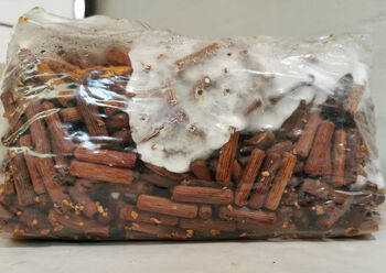 Ready To Grow Gourmet Mushroom Log Large, 8 of 12