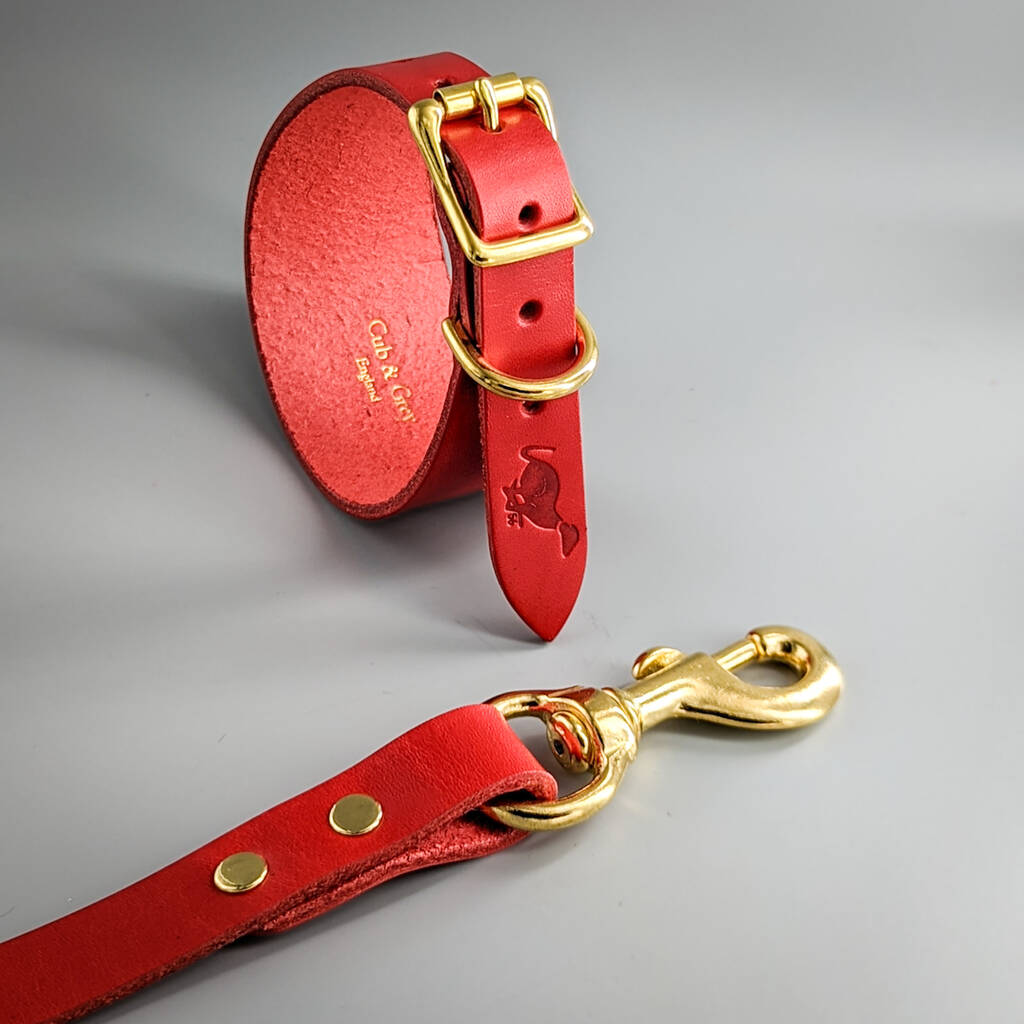 Sighthound Collar And Lead Set, 1 of 12