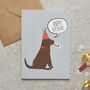 Chocolate Labrador Birthday Card, thumbnail 1 of 2