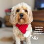 Knitted Pet Scarf, thumbnail 6 of 9