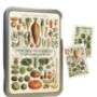Nostalgic Floral Botanical Postcards In A Tin | 20 Pcs, thumbnail 3 of 12