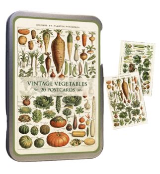 Nostalgic Floral Botanical Postcards In A Tin | 20 Pcs, 3 of 12