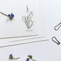 Hand Illustrated ‘Spring Flowers’ Flat Notecard Set, thumbnail 8 of 8
