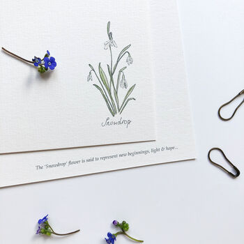 Hand Illustrated ‘Spring Flowers’ Flat Notecard Set, 8 of 8