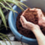 Organic Peat Free Compost In Reusable Hessian Bag, thumbnail 3 of 6