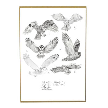 Parliament Of Owls Art Print, 2 of 7