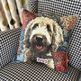 Personalised Pet Portrait Cushion, thumbnail 4 of 12