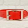 Waterproof Dog Collar And Lead Set Red, thumbnail 2 of 3