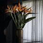 Orange Birds Of Paradise Fresh Flower Bouquet, thumbnail 1 of 4