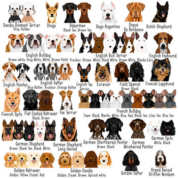 Dog Breed ID Tag Personalised Realistic Illustrations, 5 of 12
