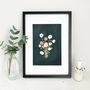 Poppy Flowers A4 Giclee Print, thumbnail 1 of 2