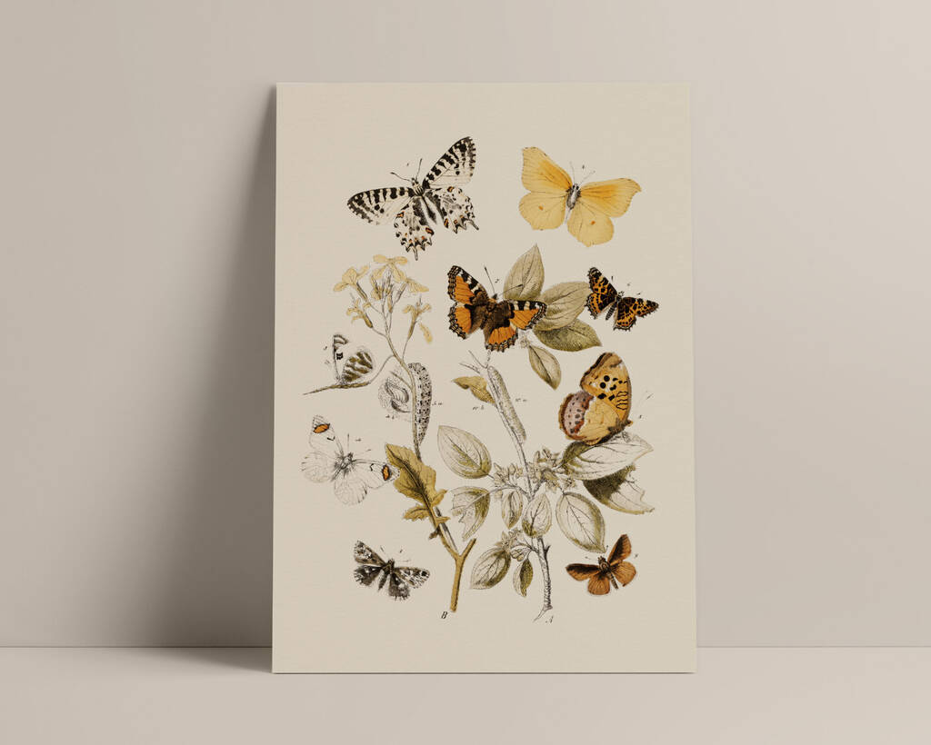 Botanical Butterfly Art Print By Norfolk Print Collective