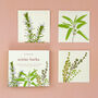 Winter Herbs Seed Kit With Sage, Rosemary And Thyme, thumbnail 1 of 6