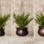 Hammered Copper Hanging Planter – Brass Chain, 17cm, thumbnail 7 of 8