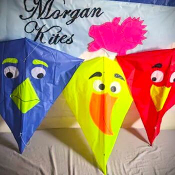 Wacky Bird Kite. Superb Handmade Easy To Fly Kites From Morgan Kites, 7 of 7