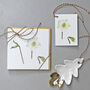 Christmas Cards With Christmas Rose Illustrations, thumbnail 3 of 4