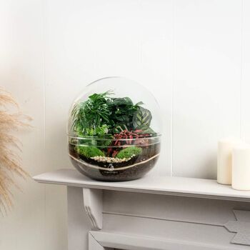 Large Terrarium Kit |'Zagreb', 2 of 12