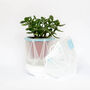 Origami Self Watering Eco Plant Pot: 15cm | Blue Cord, thumbnail 5 of 9