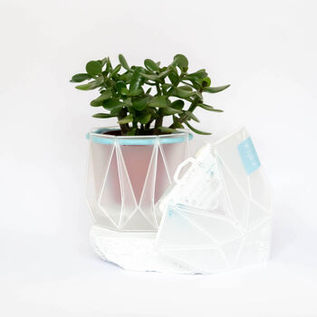Origami Self Watering Eco Plant Pot: 15cm | Blue Cord, 5 of 9