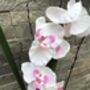 White Artificial Silk Orchid Grey Pot Mothers Day Gift, thumbnail 3 of 6