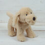 Cuddly Companion Golden Puppy Dog, thumbnail 1 of 1